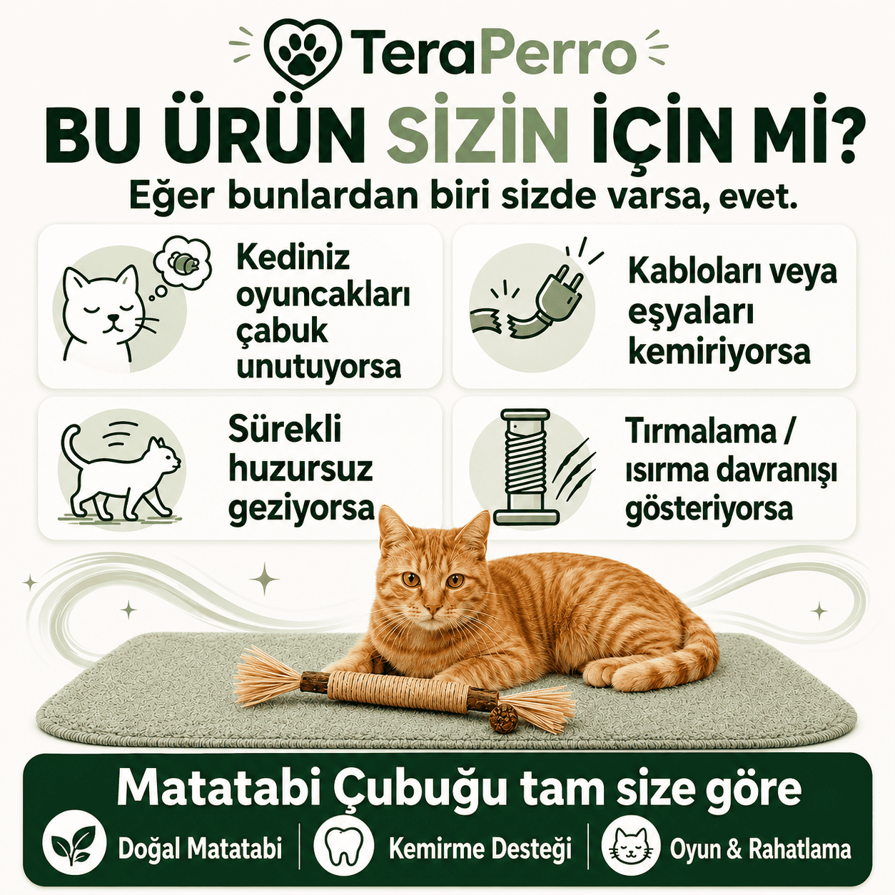 TeraPerro™ 3'ü 1 Arada Doğal Matatabi Çubuğu