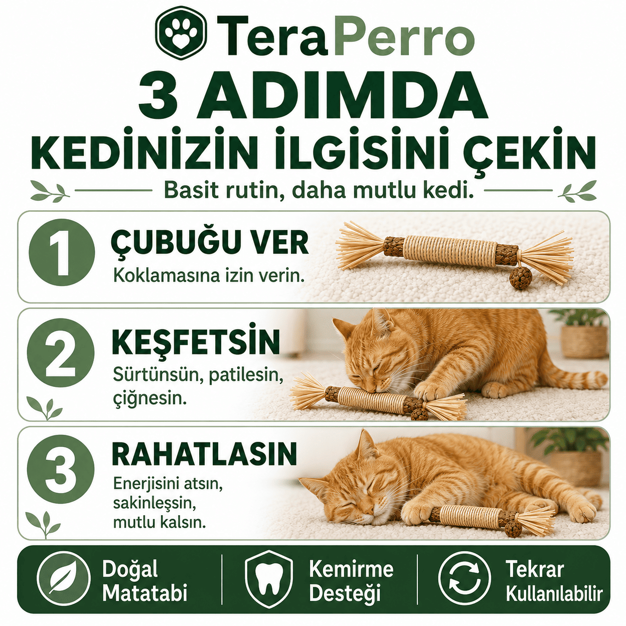TeraPerro™ 3'ü 1 Arada Doğal Matatabi Çubuğu