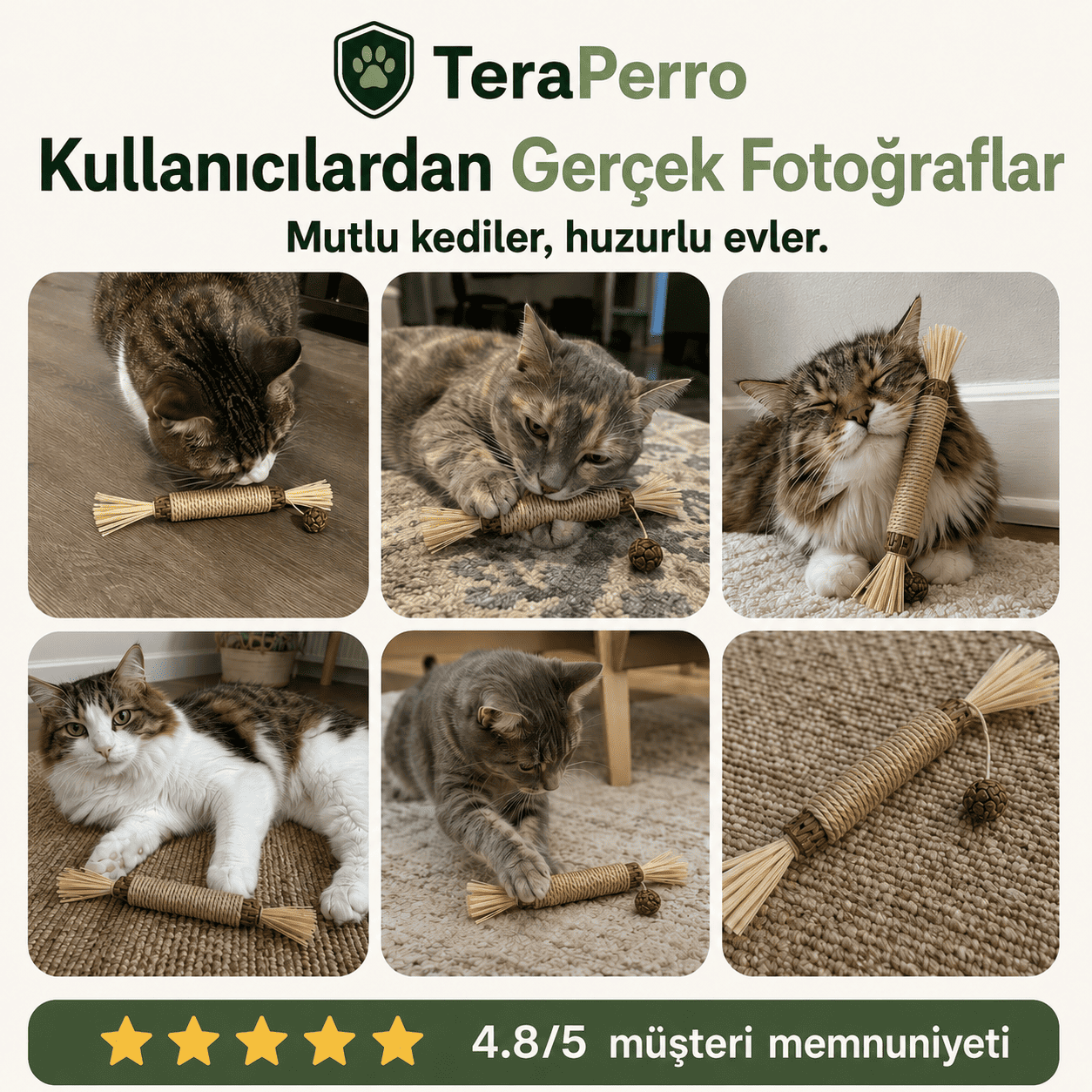 TeraPerro™ 3'ü 1 Arada Doğal Matatabi Çubuğu