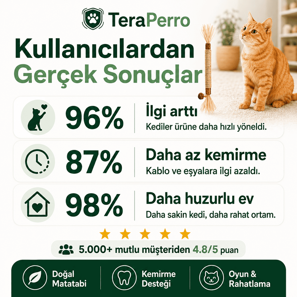 TeraPerro™ 3'ü 1 Arada Doğal Matatabi Çubuğu